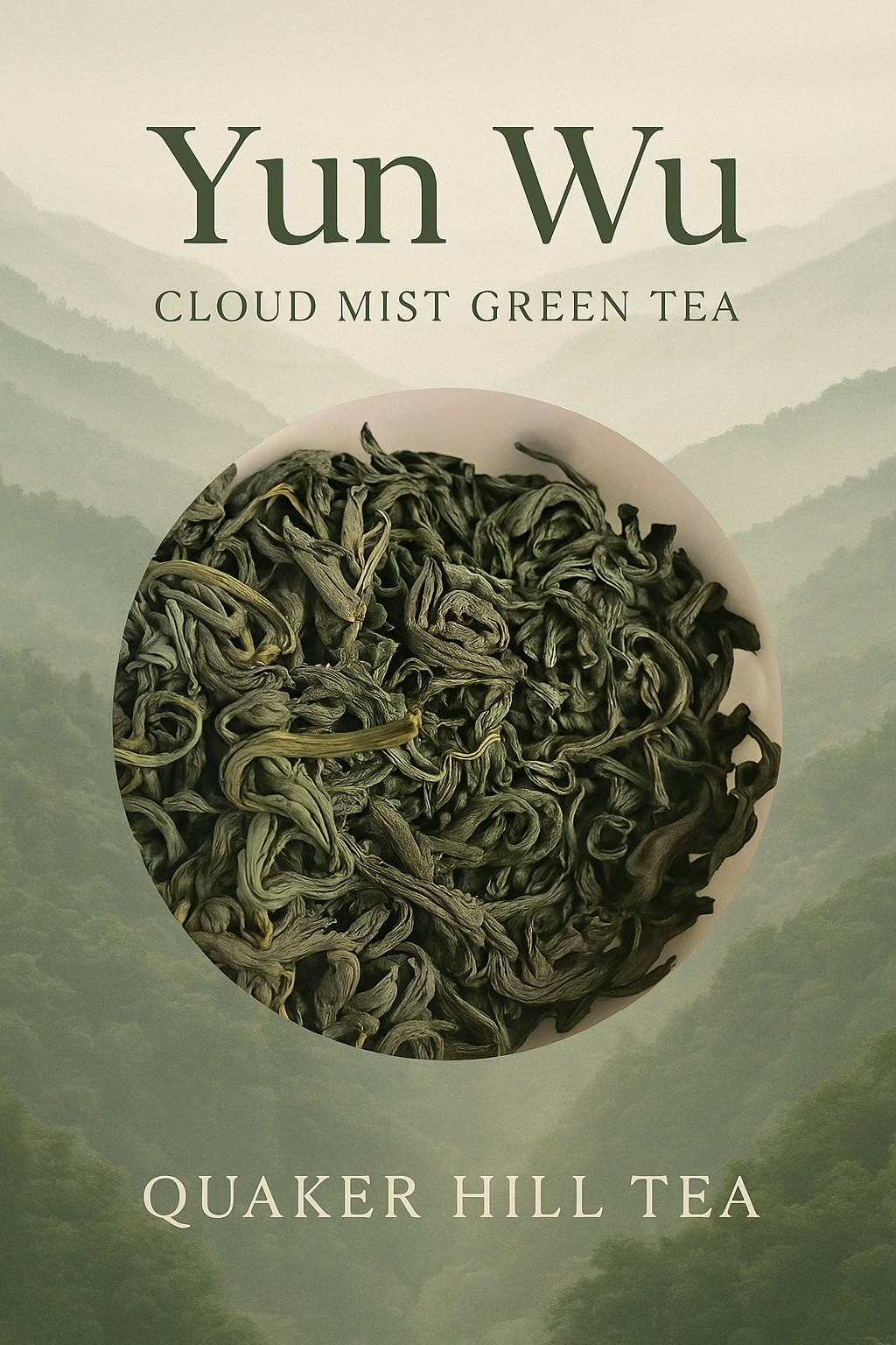 Yun Wu Cloud Mist Green Tea